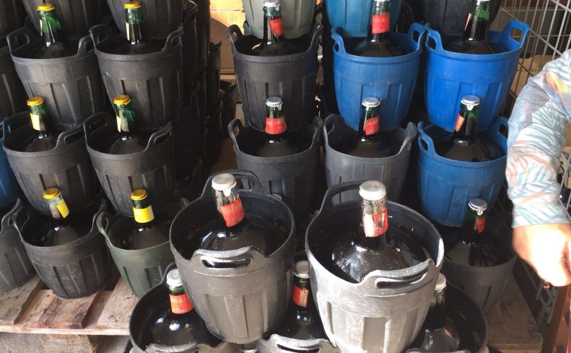 Mallorquinisches Stierblut in recycelten&nbsp;Ballonflaschen