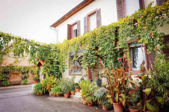 weingut-ellermann-spiegel