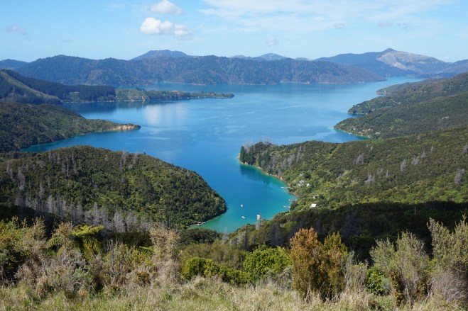 Blick über die Marlborough Sounds