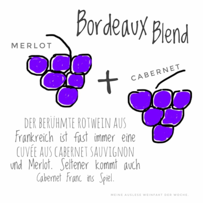 MeineAuslese_WeinFakt_Bordeauxblend