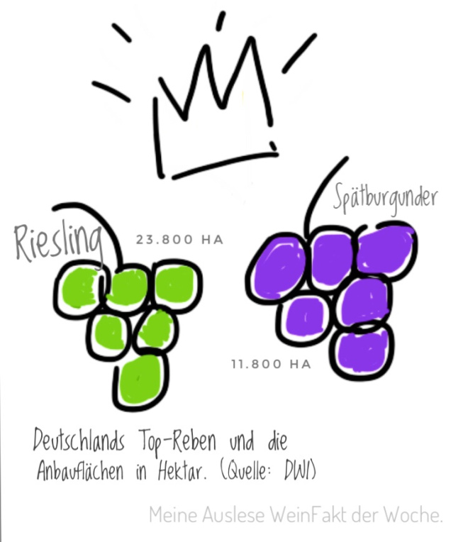 MeineAuslese_WeinFakt_Deutsche-Topreben