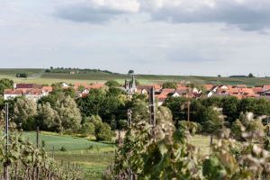 Weingut_Henrici_Friesenheim_weinregion_rheinhessen_weinreisen_deutschland