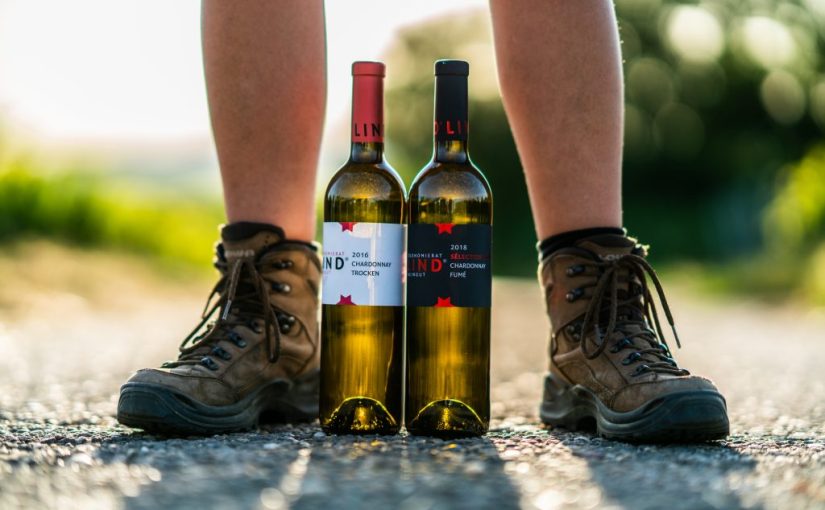 Südpfalz: Junge Winzerin baut auf alte&nbsp;Traditionen