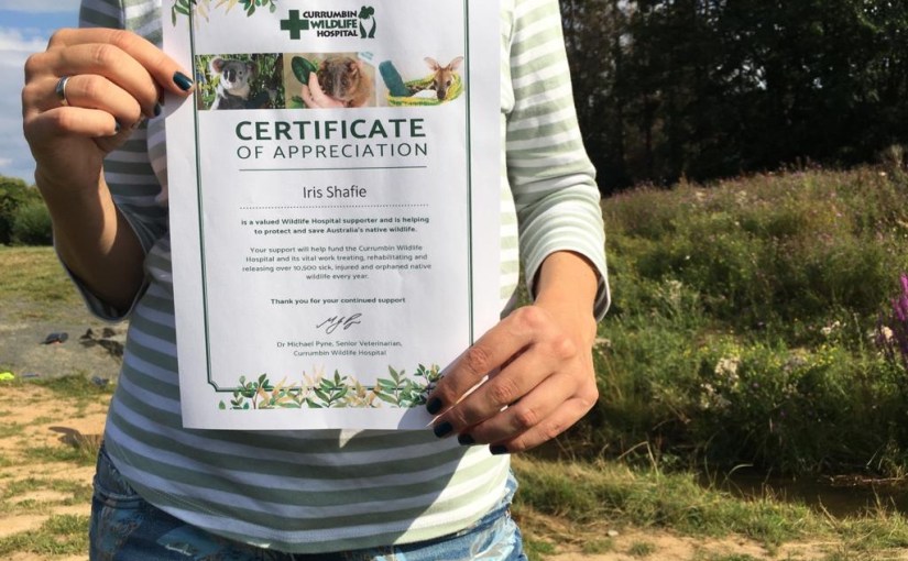 #koalaweincharity: 1.200 Euro für das Currumbin Wildlife&nbsp;Hospital