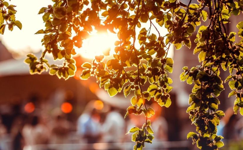 Radio-Weinprobe 10: „Fête de la&nbsp;Musique“